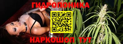 ПСИЛОЦИБИНОВЫЕ ГРИБЫ Волжский