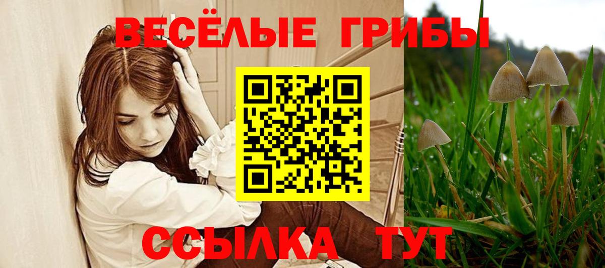 Галлюциногенные грибы прущие грибы Егорьевск